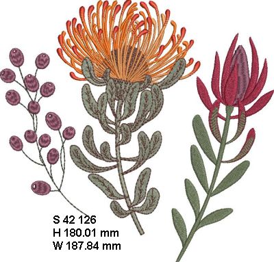 Fynbos Flowers-16