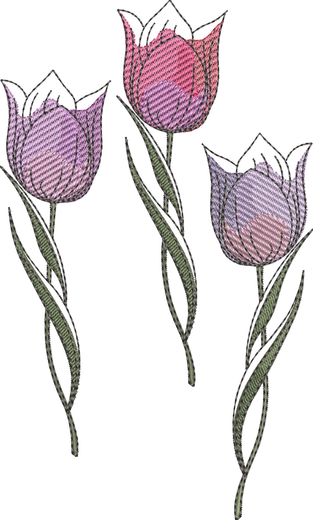 Springtime Tulips-5