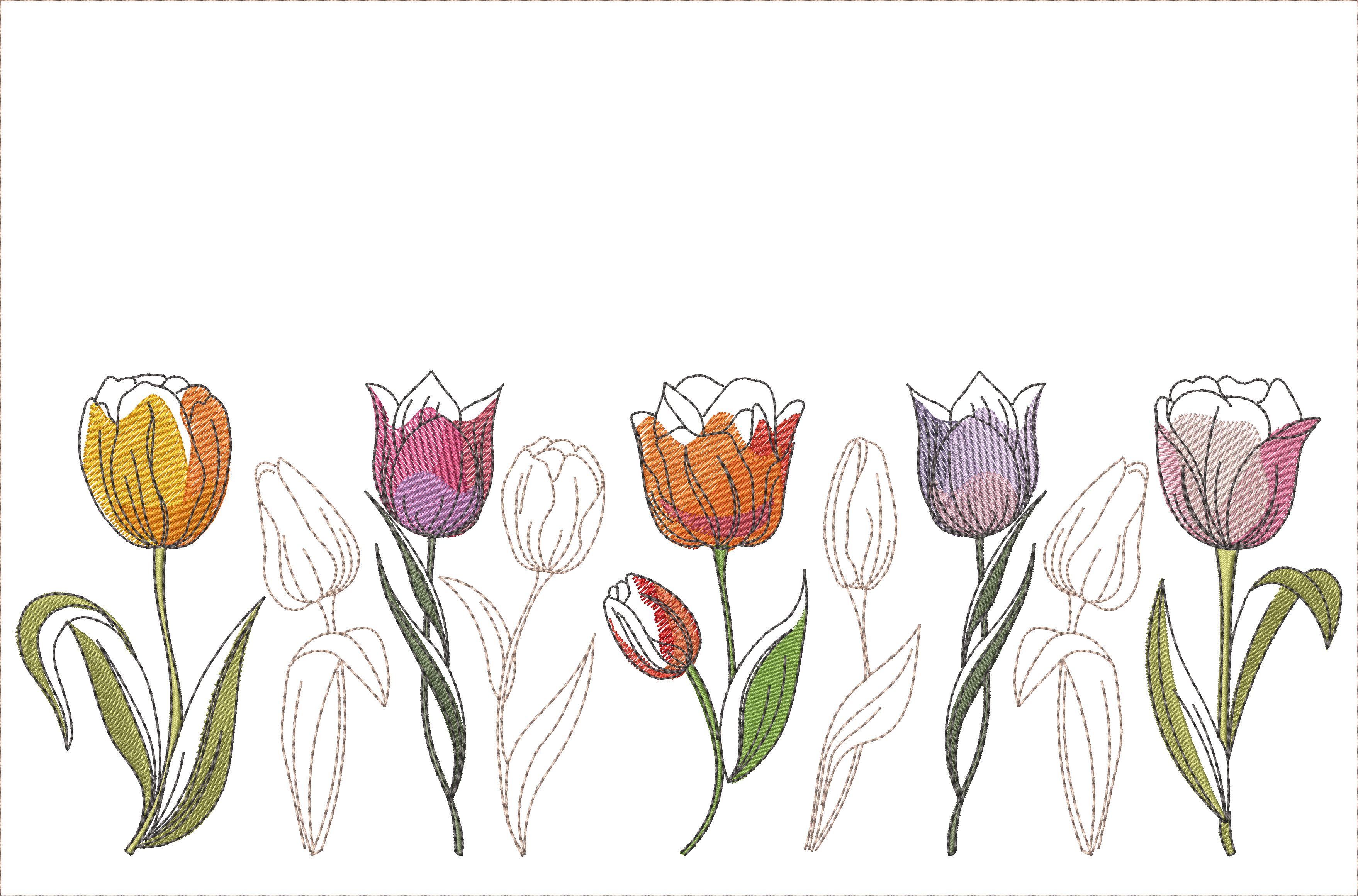 Springtime Tulips-13