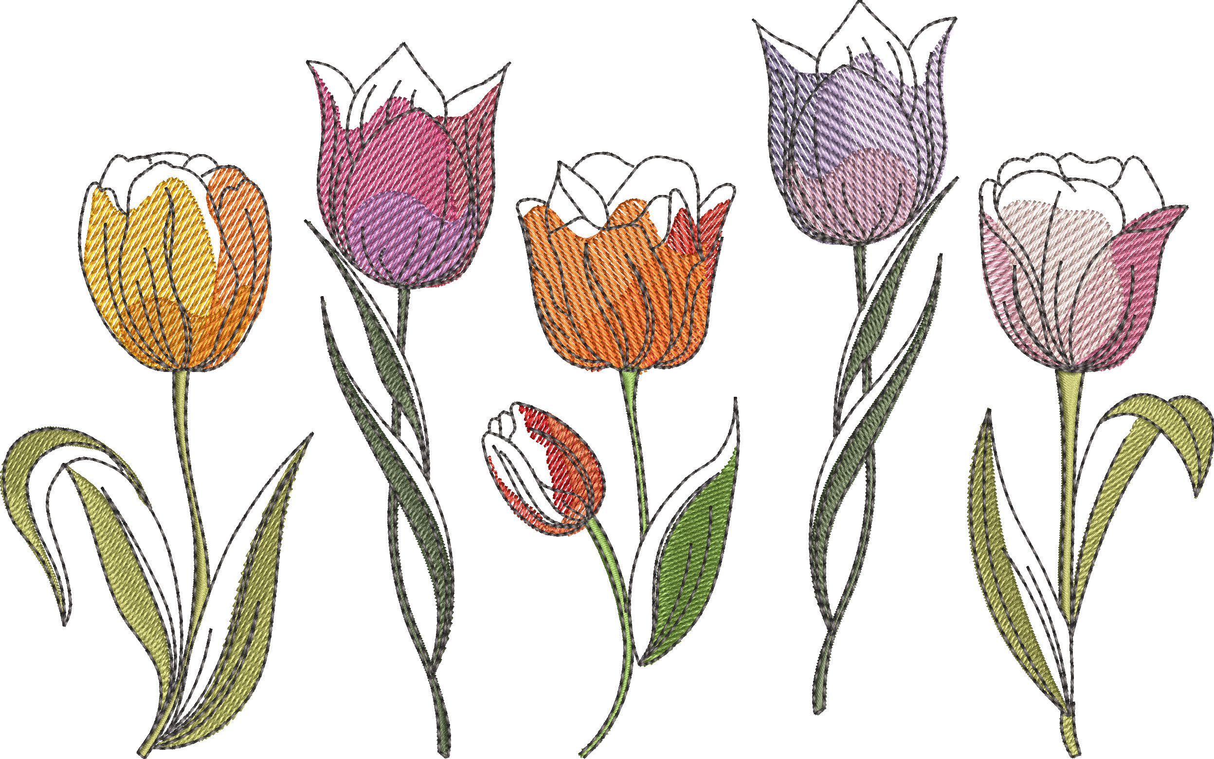 Springtime Tulips-15