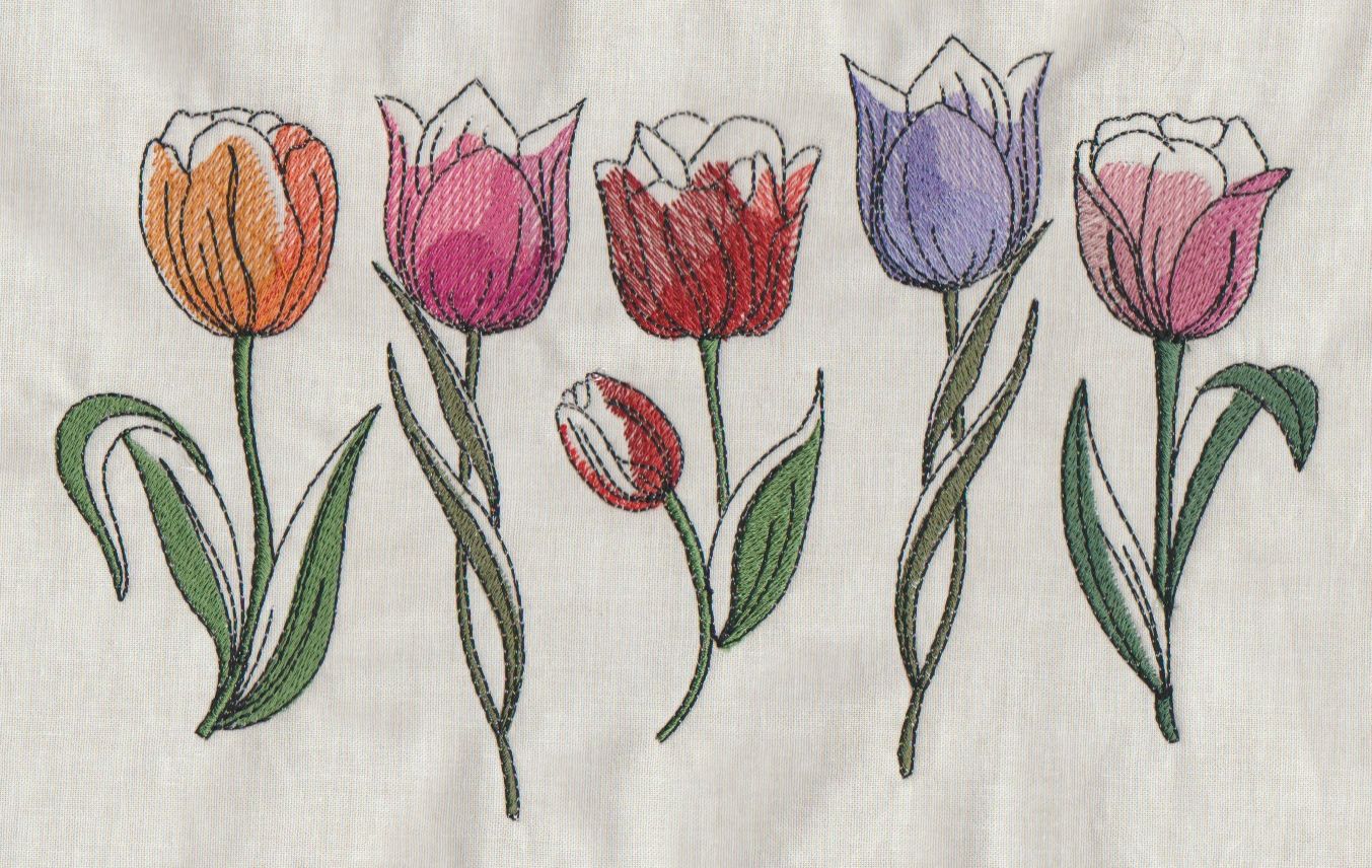 Springtime Tulips-16