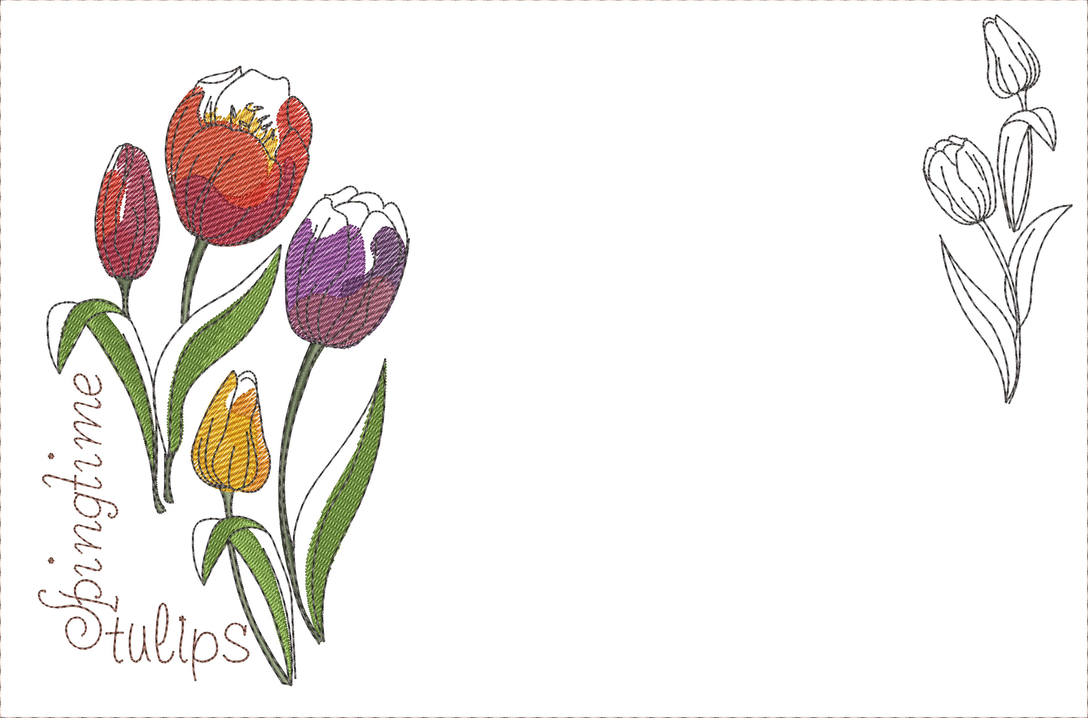 Springtime Tulips-17