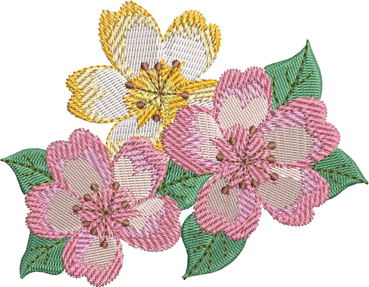 Beautiful Flowers-5
