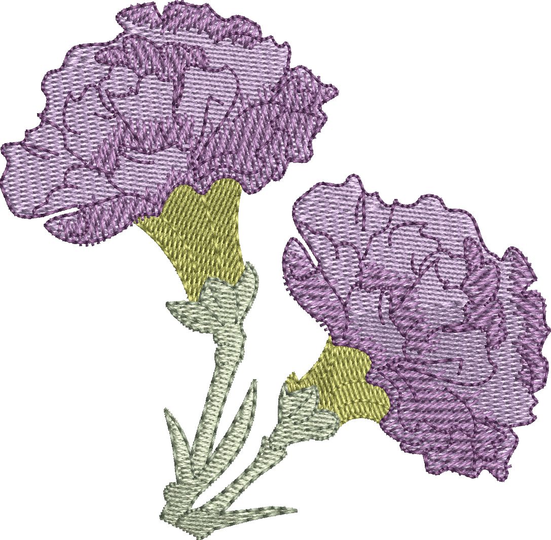 Beautiful Flowers-7