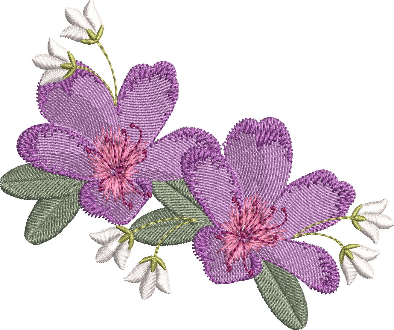 Beautiful Flowers-9