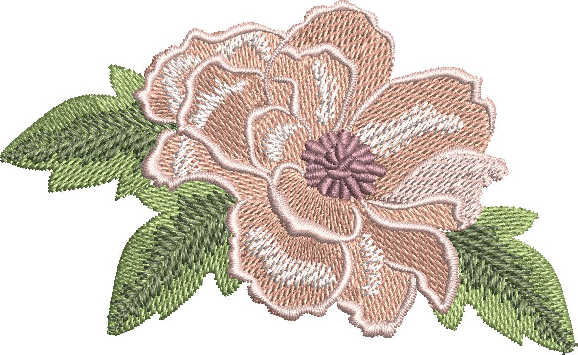 Beautiful Flowers-13