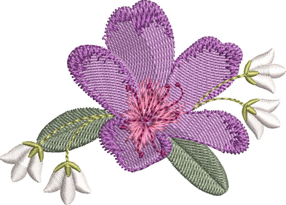 Beautiful Flowers-18