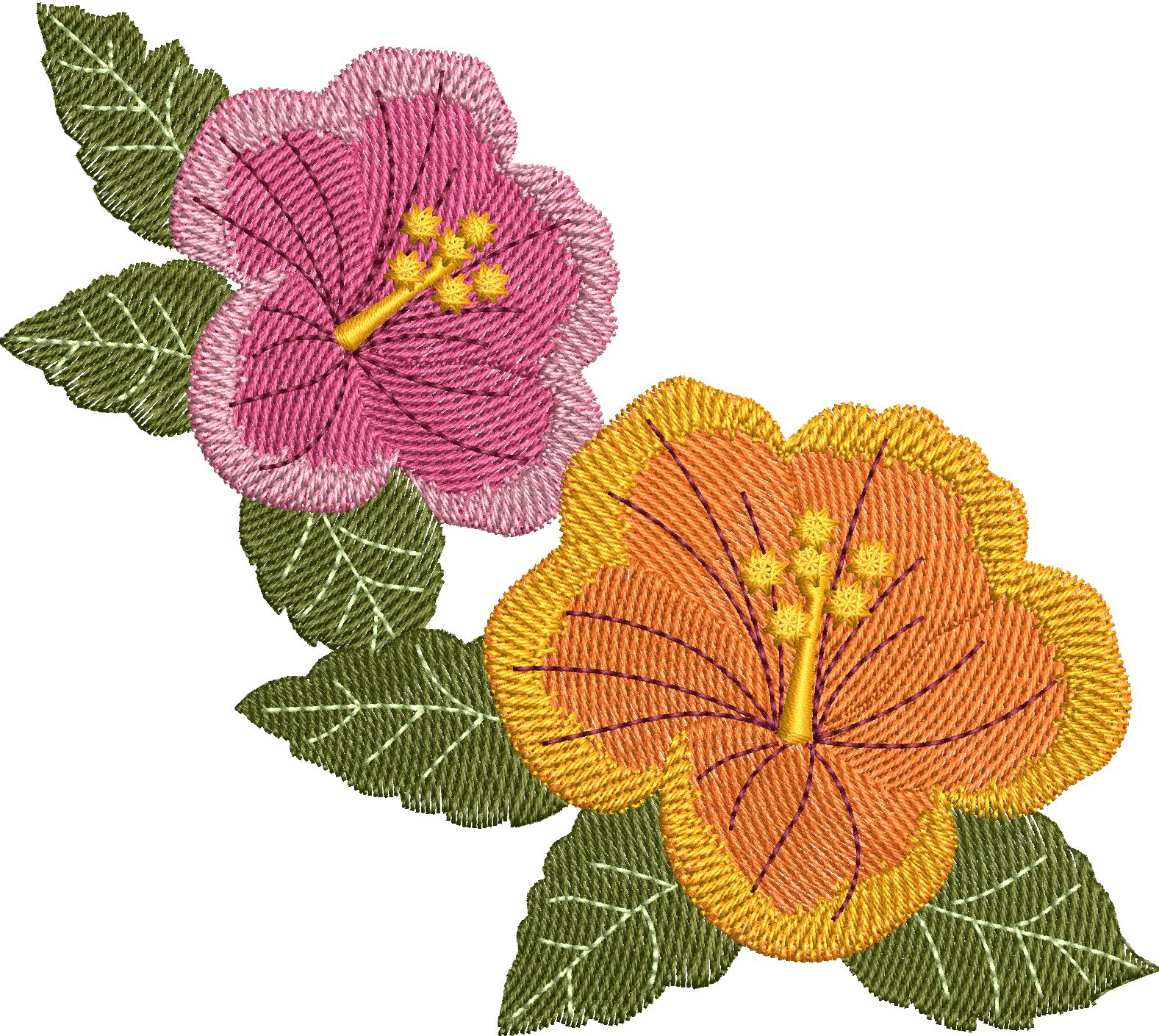 Beautiful Flowers-19