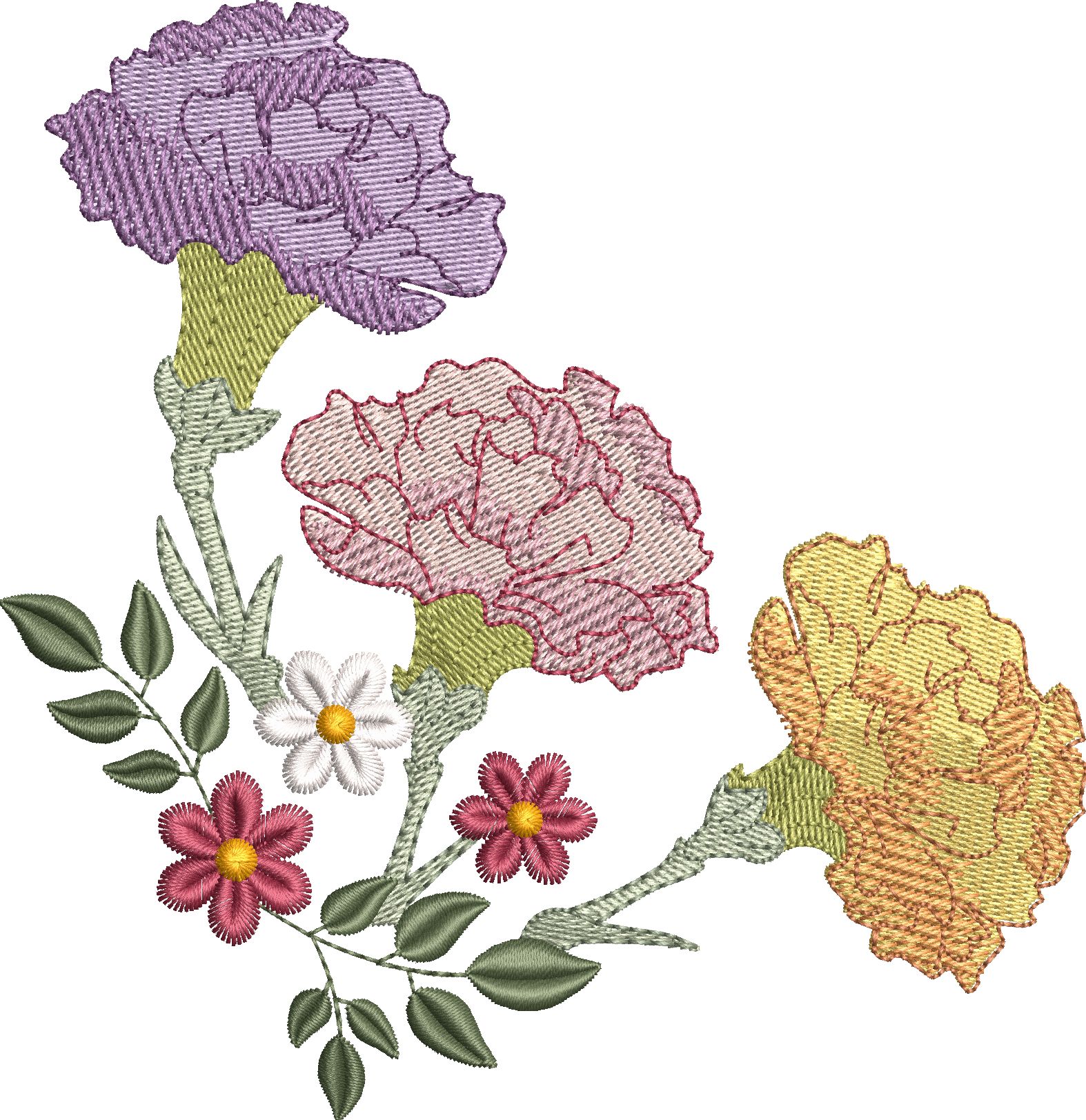Beautiful Flowers-24