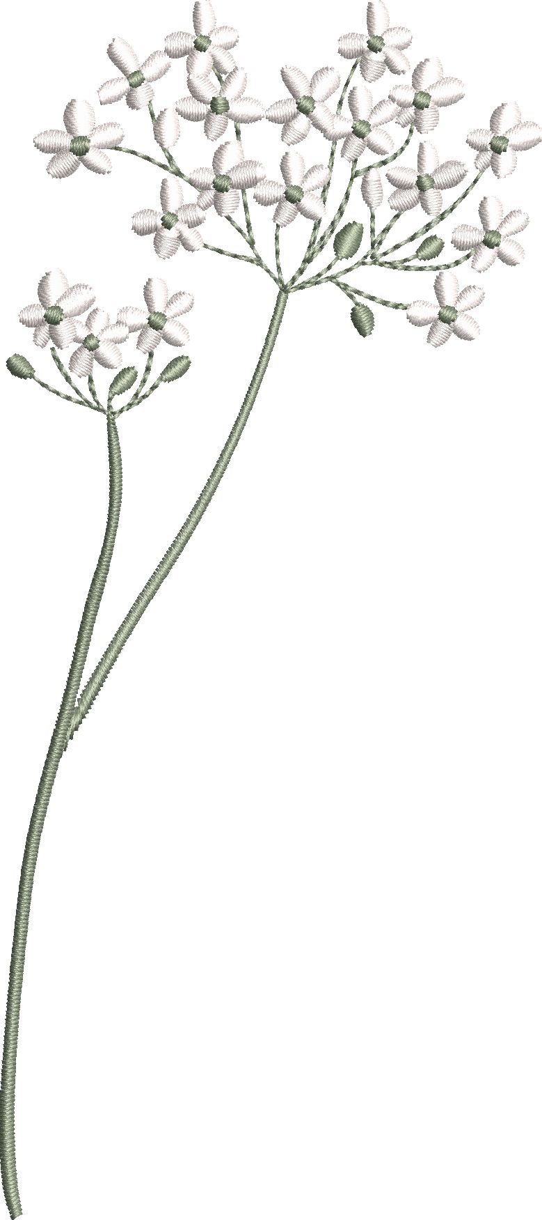 Fields of Flowers-9