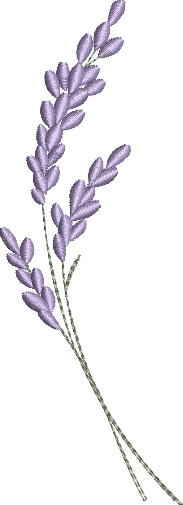 Fields of Flowers-16
