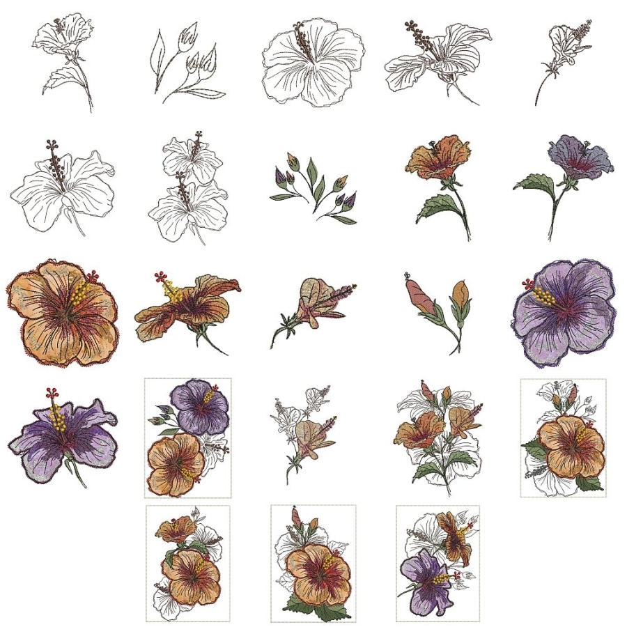 Hibiscus Collage 