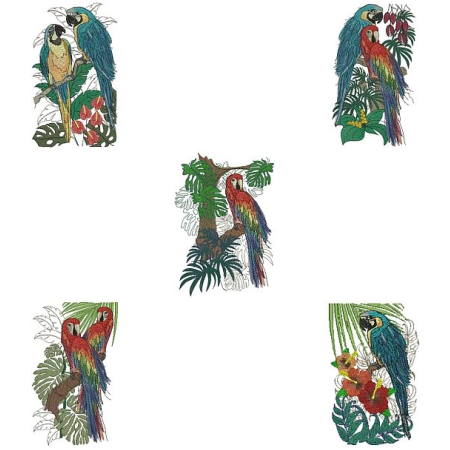 Exotic Parrots 