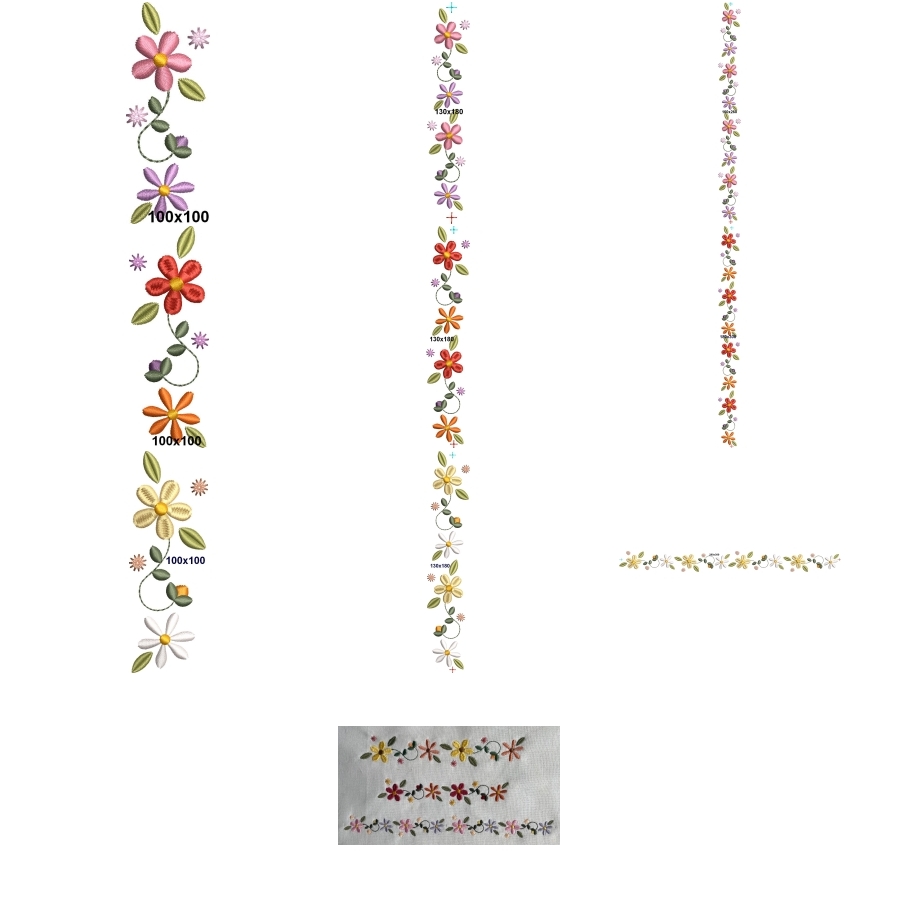 Rows of Daisies