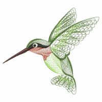 Rippled Hummingbirds