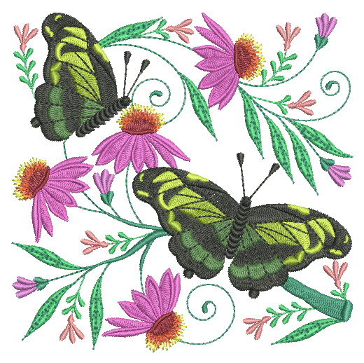 Butterfly Garden 3-10