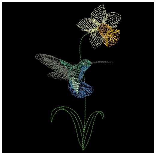 Springtime Hummingbirds-9