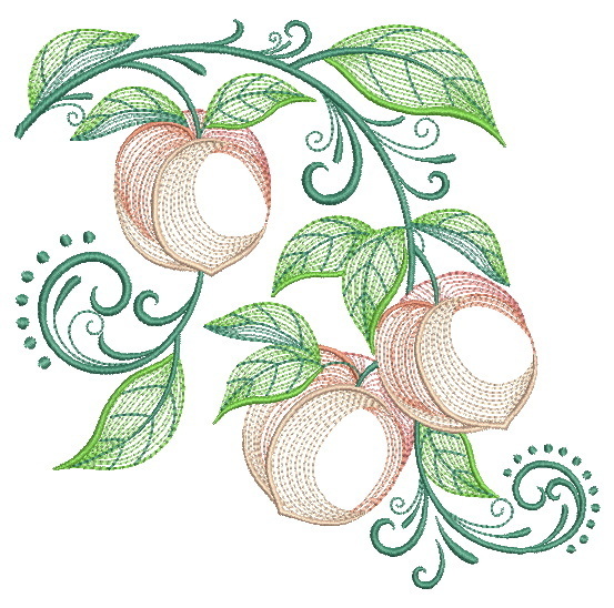 Filigree Fruit 2-11