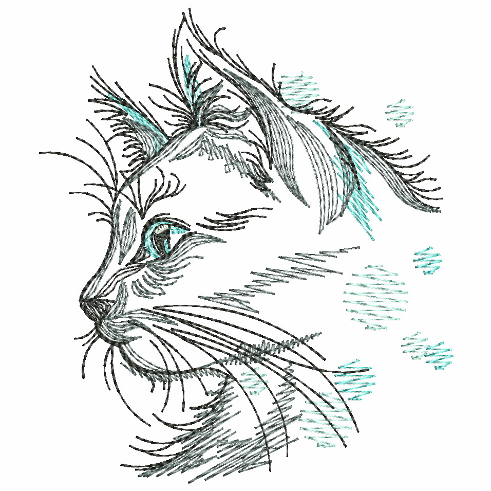 Dog And Cat-9