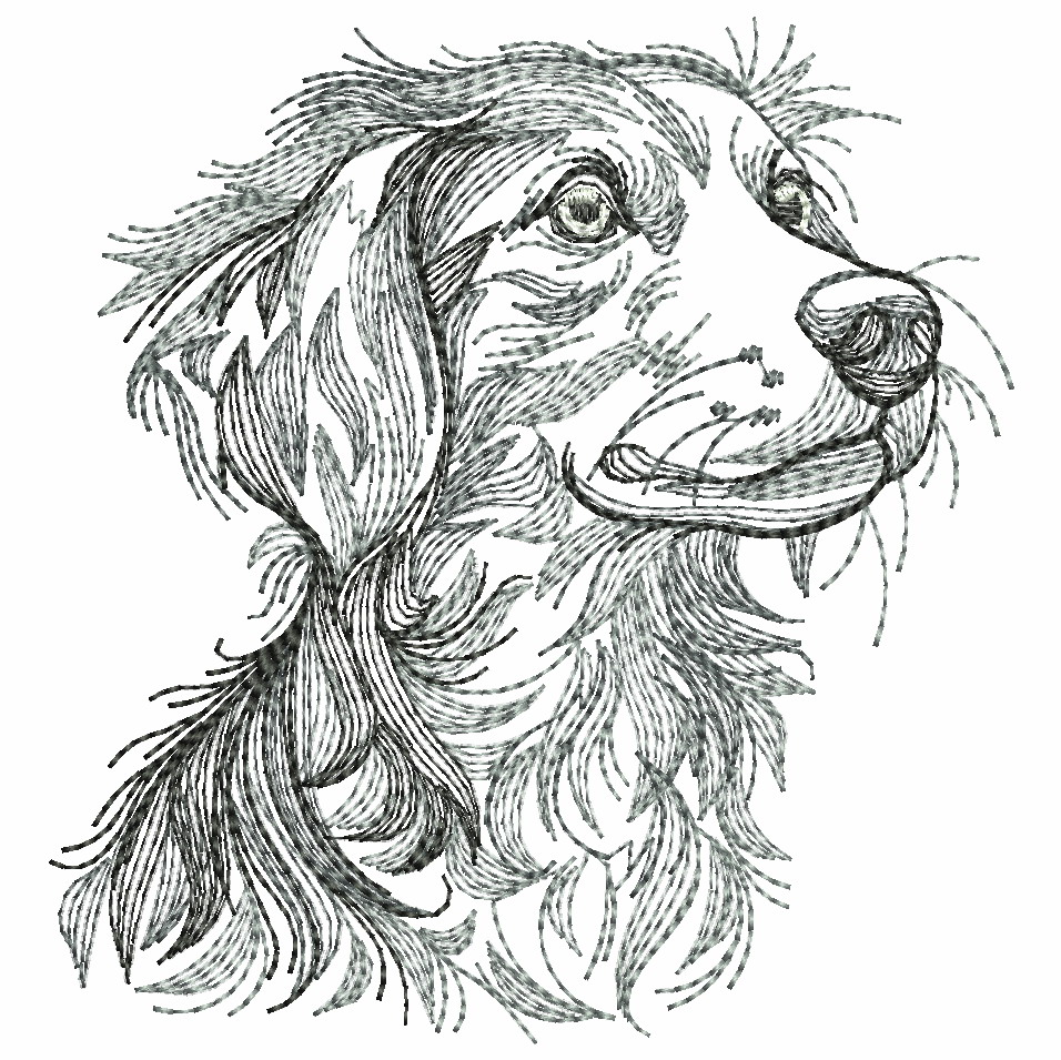 Dog And Cat-13