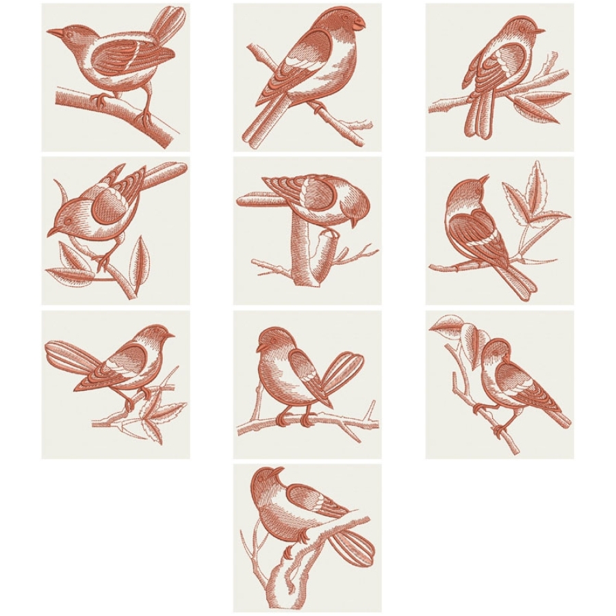 Birds Silhouettes