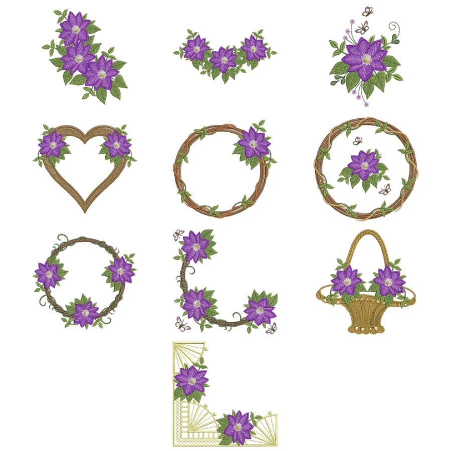 Clematis