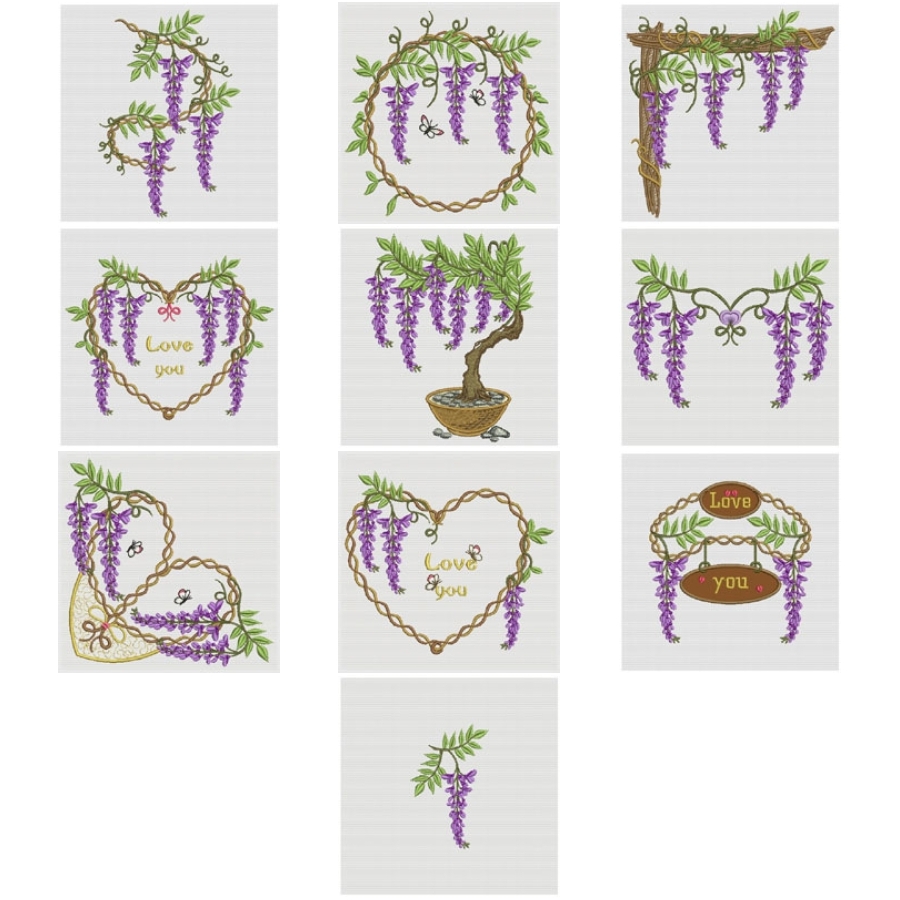 Wisteria