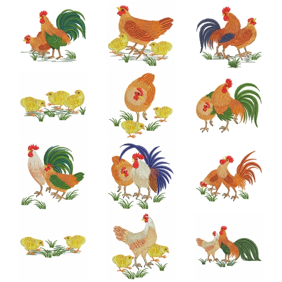 Chickens
