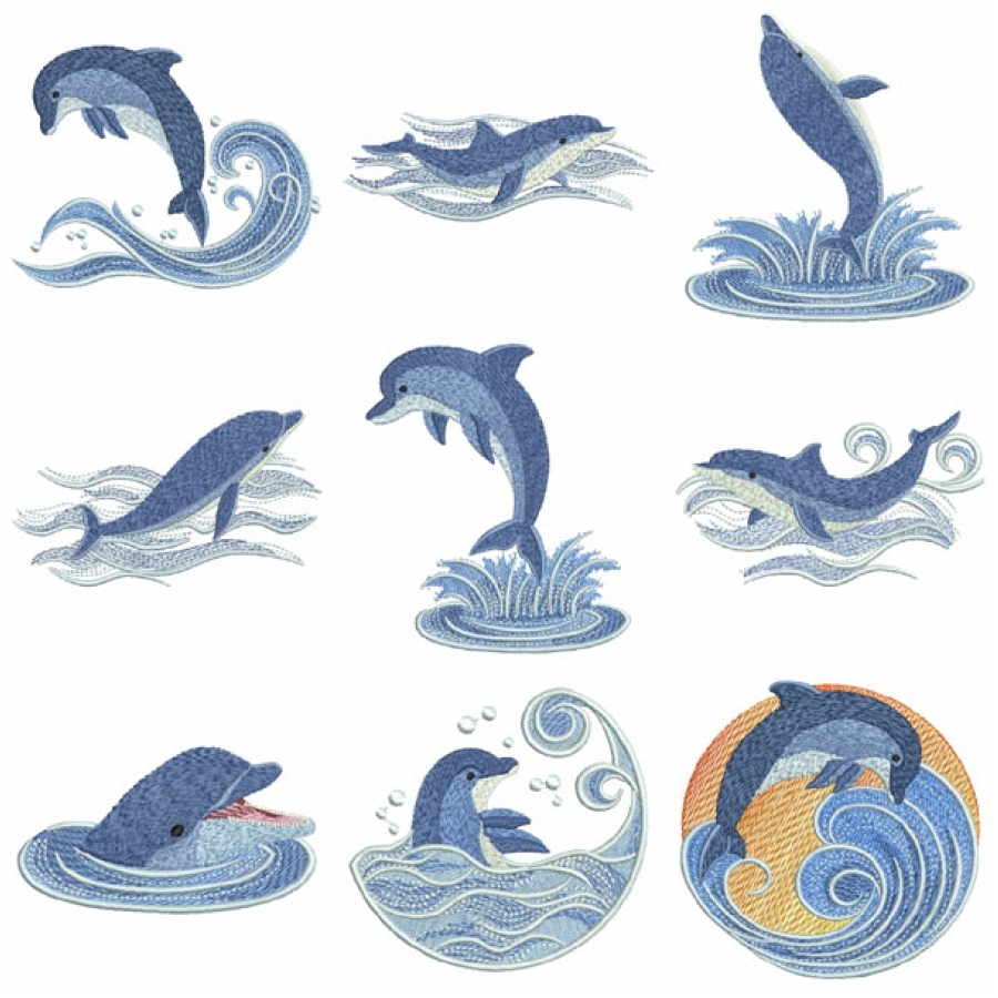 Dolphin in Waves