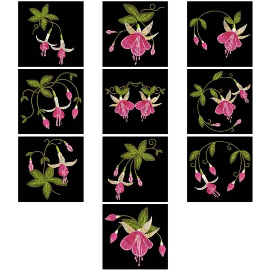 Fuchsia