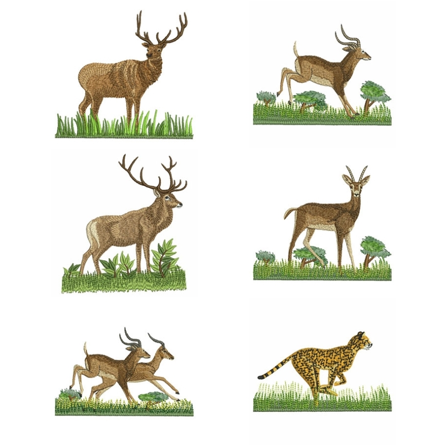 Wildlife 2