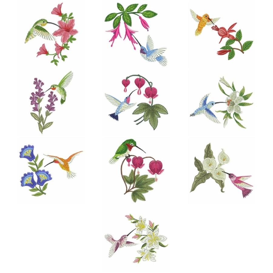 Hummingbirds & Flowers