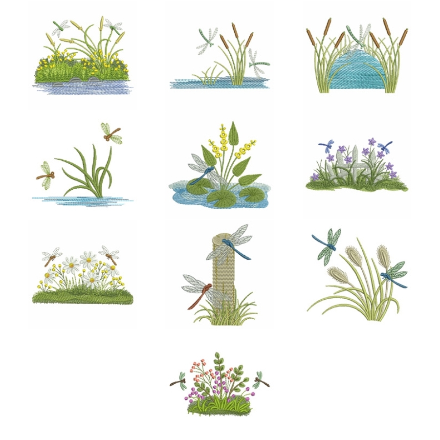 Summertime Dragonflies 