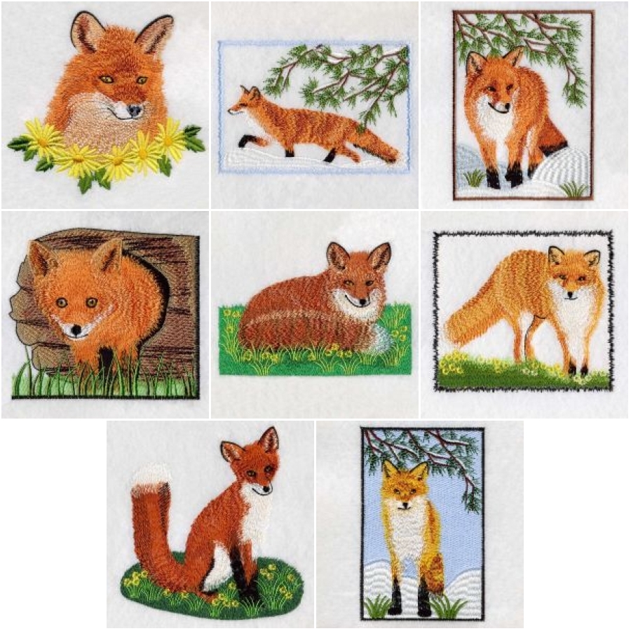 Fox 