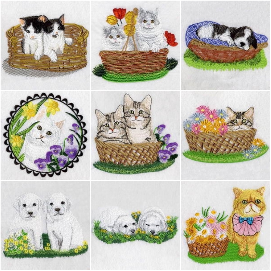Cats And Dogs 