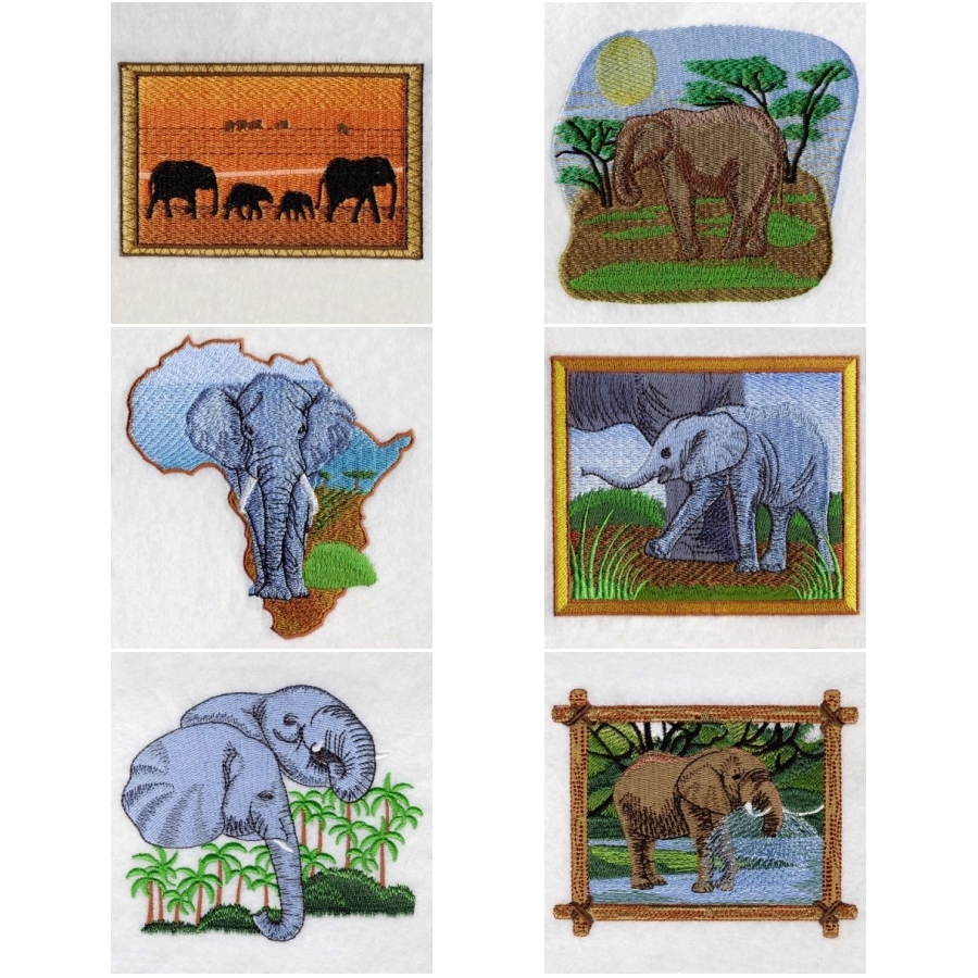 African Elephants 