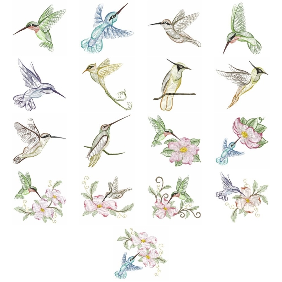 Rippled Hummingbirds 