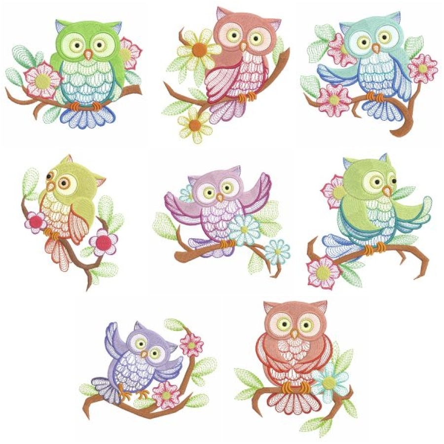 Owl Branch 