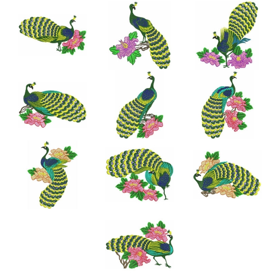 Peacocks