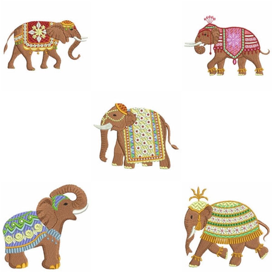 Indian Elephants