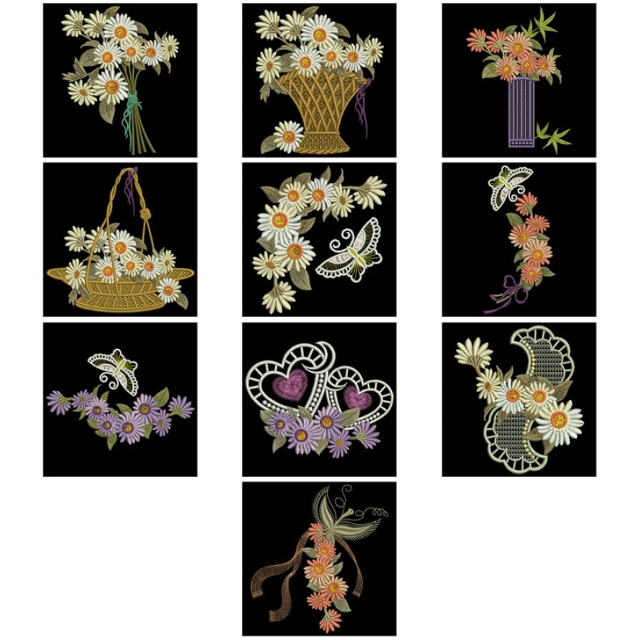 Daisy Delights