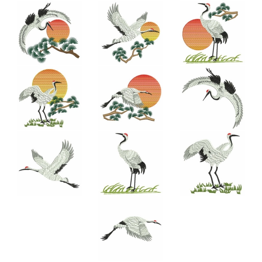 Oriental Cranes