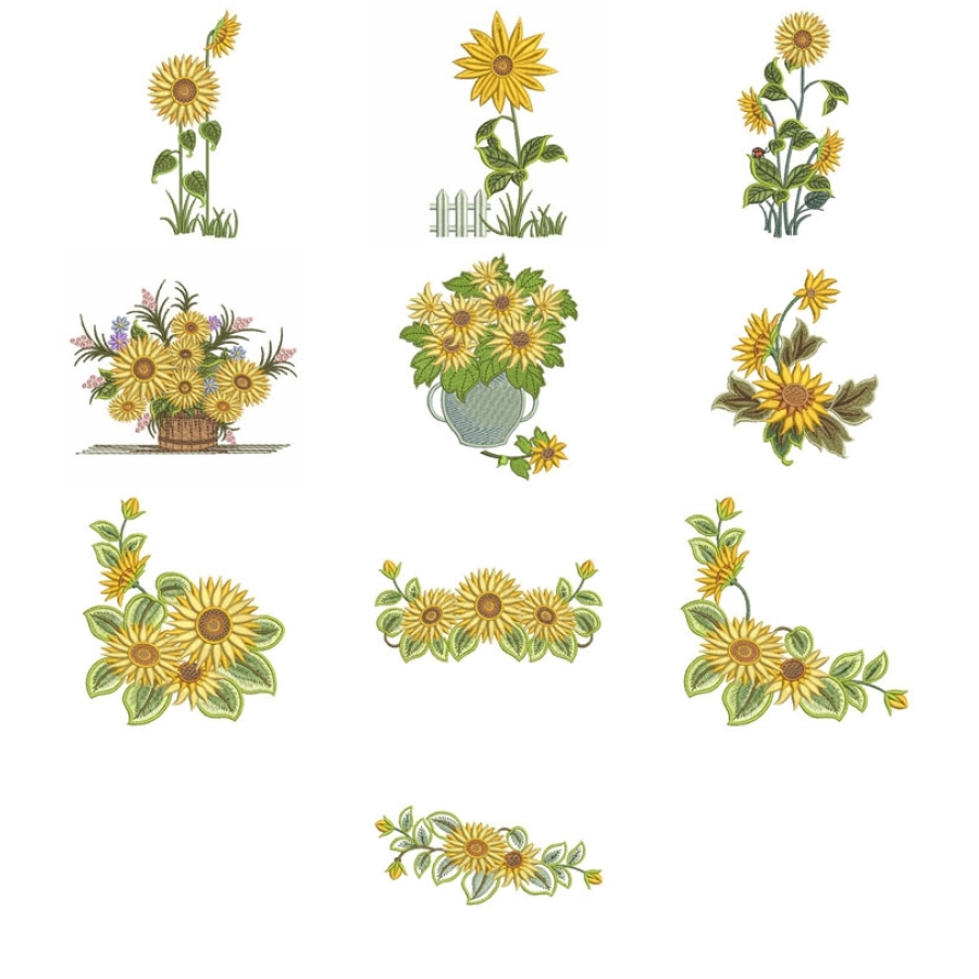 Sunflowers