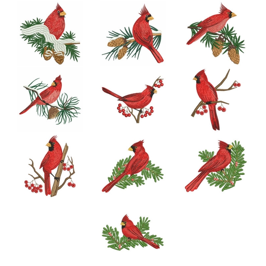 Bright Cardinals