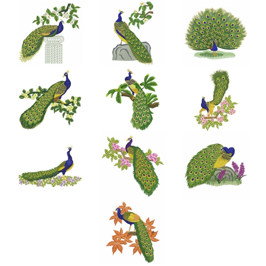 Floral Peacocks