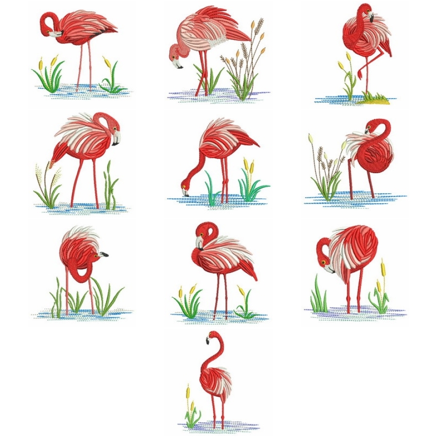 Flamingos 2