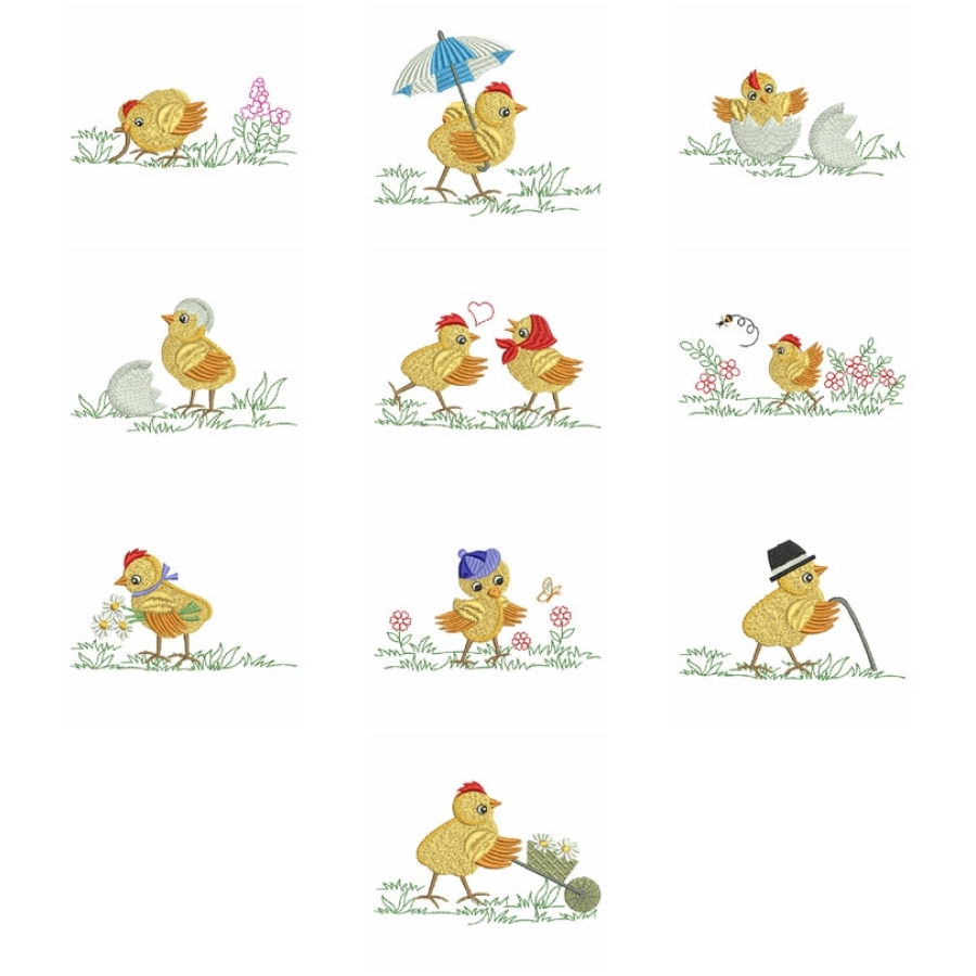 Cute Chicks