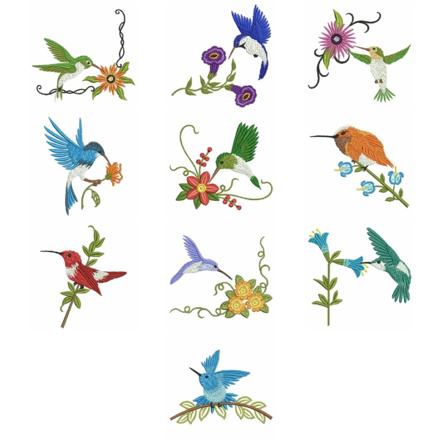 Elegant Hummingbirds