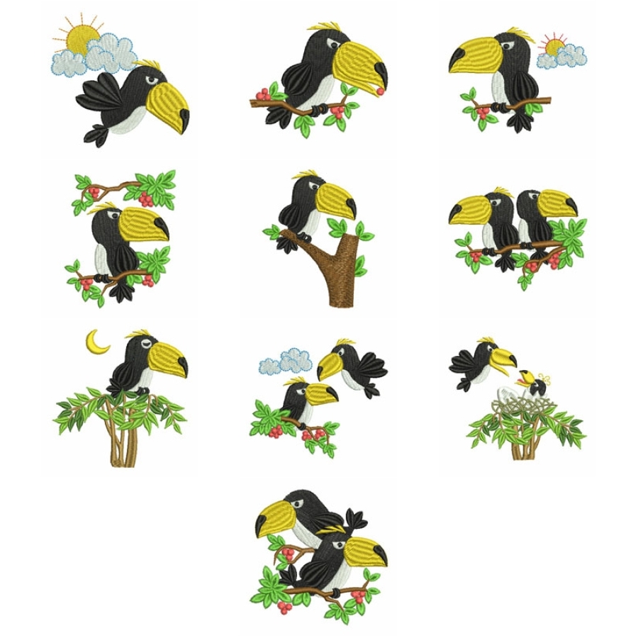Toco Toucan
