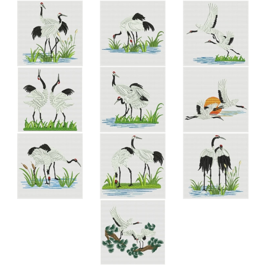 Oriental Cranes 2
